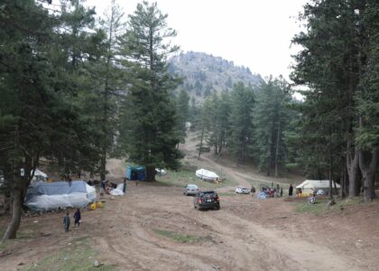 د خوست یو شمېر اوسېدونکي په «ادمامد» تفریحي سیمه کې د ځنګلونو وهلو د مخنیوي غوښتنه کوي