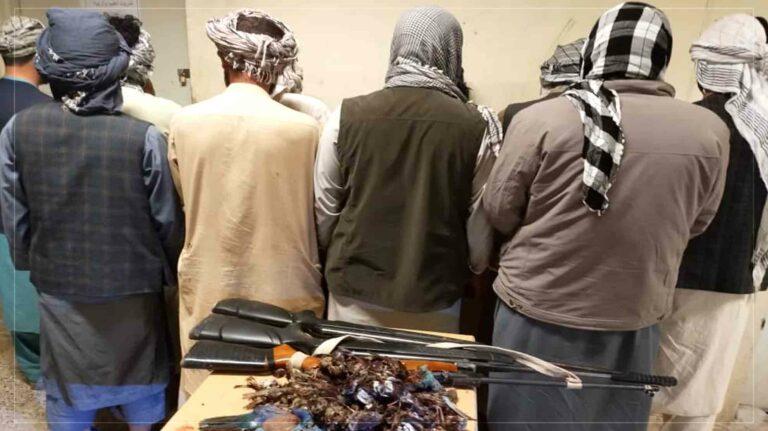 سمنګان کې د مرغانو د غیرقانوني ښکار په تور لس کسان نیول شوي