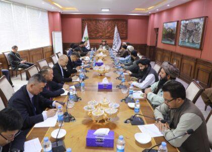 د چین خصوصي سکټور افغانستان کې د کرنې او مالدارۍ برخه کې پانګونې ته لېوالتیا ښودلې