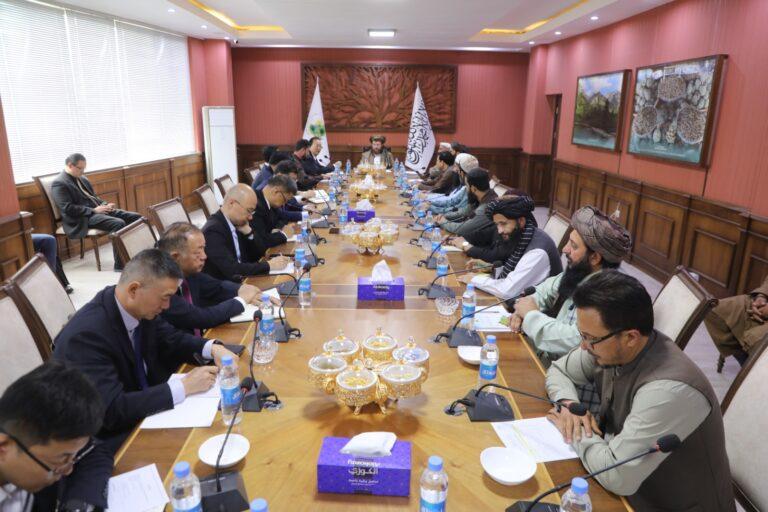 د چین خصوصي سکټور افغانستان کې د کرنې او مالدارۍ برخه کې پانګونې ته لېوالتیا ښودلې