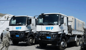 WFP able to help 1m Afghans out of 10m at risk
