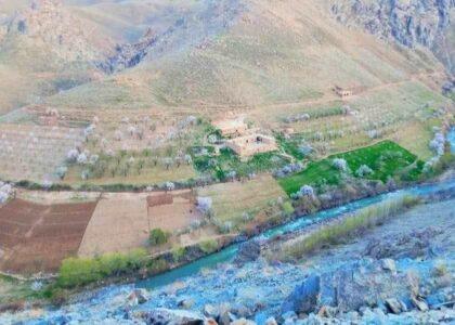 Irrigation water dispute leaves 1 dead, 3 wounded