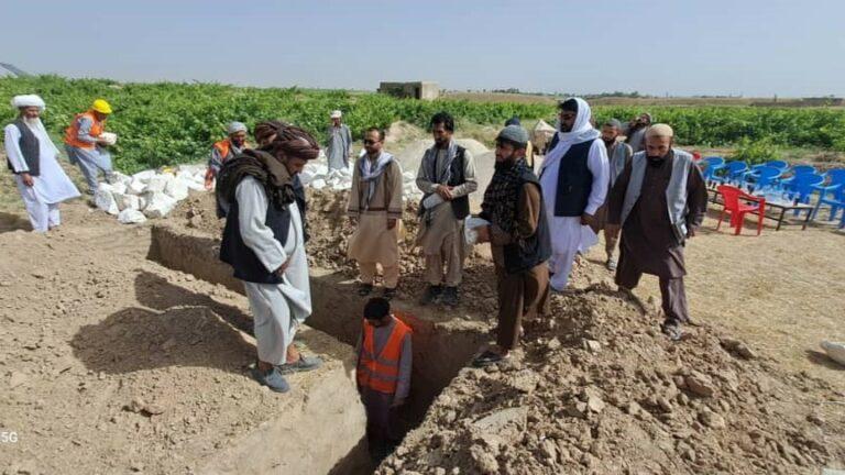 یک مرکز پروسس لبنیات در بدخشان ایجاد و کار ساخت ده کشمش‌خانه در فاریاب آغاز شد