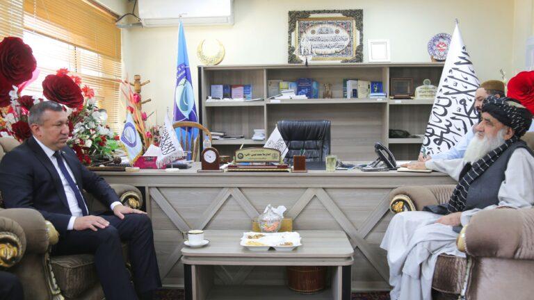 افغان او ترکمن چارواکو د بنسټیزو پروژو برخه کې پر دوه اړخیزه همکاریو ټینګار کړی