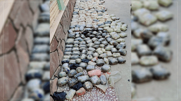 Bid to smuggle 250kg of drugs to Iran foiled