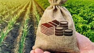 راتلونکی میلادي کال ښايي افغانستان ته د هند د کرنیزو محصولاتو صادرات کم شي