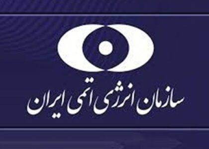 سازمان انرژی اتومی ایران: اجازه نخواهیم داد مسیر توسعهٔ صنعت انرژی هسته‌ای متوقف شود