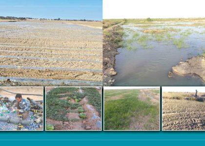 Drip Irrigation: A path to greening the drylands of Nimroz