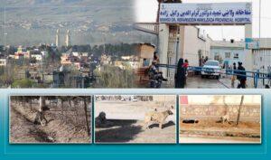 Dog bite cases surge in Samangan, residents seek action