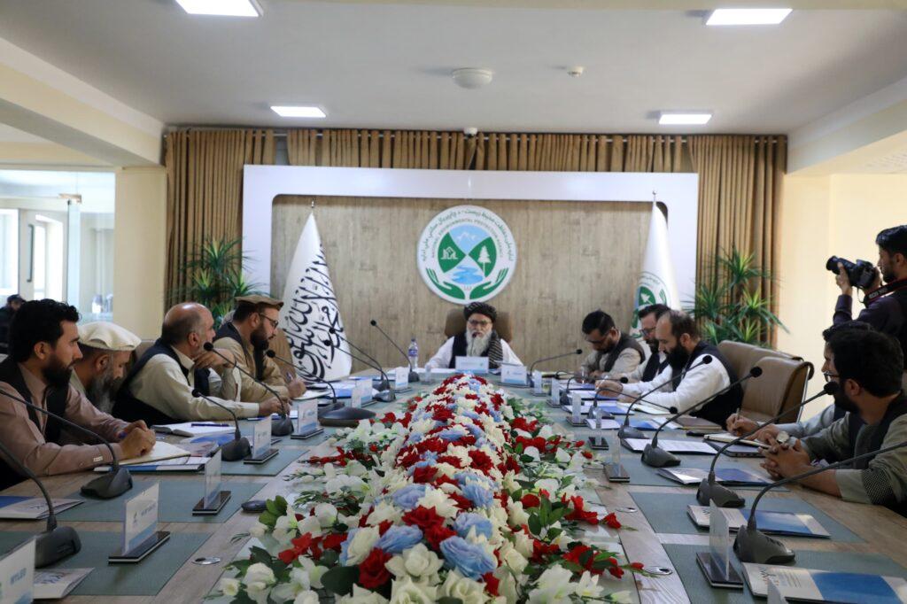 د ملي او نړۍوالو مؤسسو له استازو سره د «افغانستان کانسا» د بیا فعالیدو په تړاو د همغږۍ غونډه وشوه