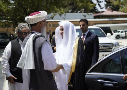 د اسلامي نړۍ د پیوستون سازمان د مشر په مشرۍ یو پلاوی کابل ته راورسېد