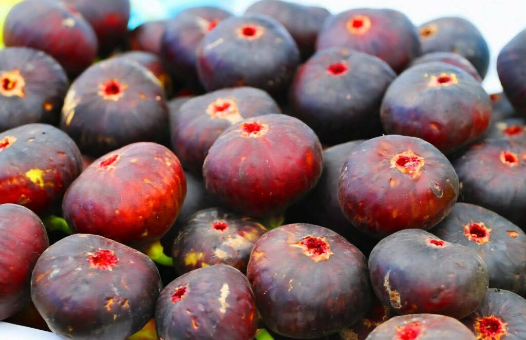 Herat gardeners seek support as fig yield jumps 10pc