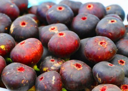 Herat gardeners seek support as fig yield jumps 10pc