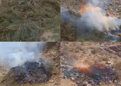 سه تن در پیوند به نگهداری ۳۰۰ کیلوگرام مواد مخدر نوع «یامه» در بادغیس بازداشت شدند