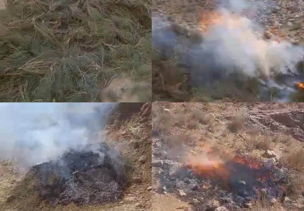 سه تن در پیوند به نگهداری ۳۰۰ کیلوگرام مواد مخدر نوع «یامه» در بادغیس بازداشت شدند