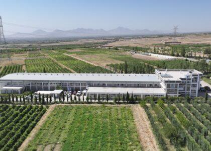 یک کارخانۀ پروسس کشمش با سرمایه‌گذاری هشت میلیون دالر در کابل افتتاح شد