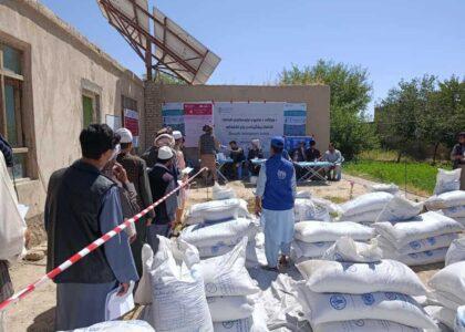 برای دو هزار مالدار در فاریاب خوراکۀ حیوانی و پول نقد توزیع شد