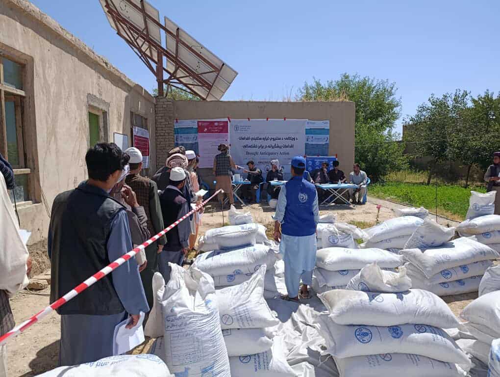 برای دو هزار مالدار در فاریاب خوراکۀ حیوانی و پول نقد توزیع شد