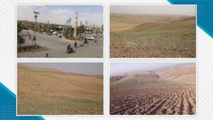 Drought impacts farms, threatens livelihoods in Ghor