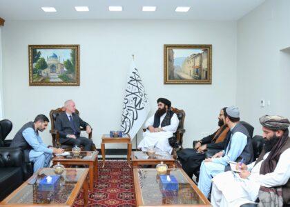 متقي: له افغانانو سره د بشري مرستو تر څنګ دې انکشافي برخې ته هم پام وشي