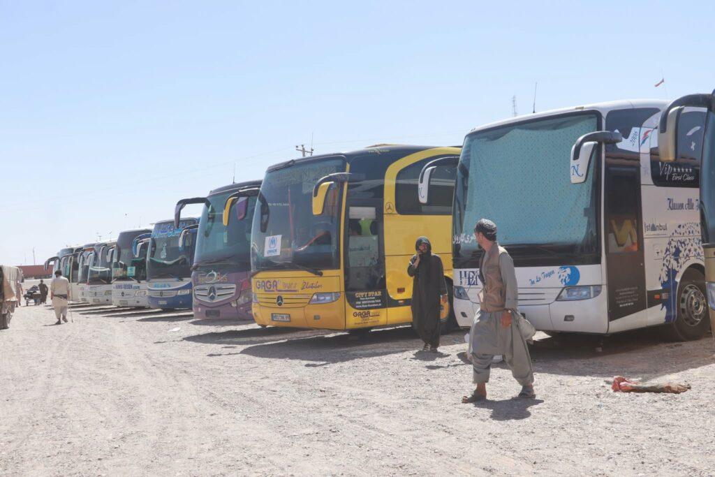 روزانه تا ۲۵ هزار مهاجر از مرز اسلام‌‌قلعه به هرات و سایر ولایات انتقال داده می‌شوند