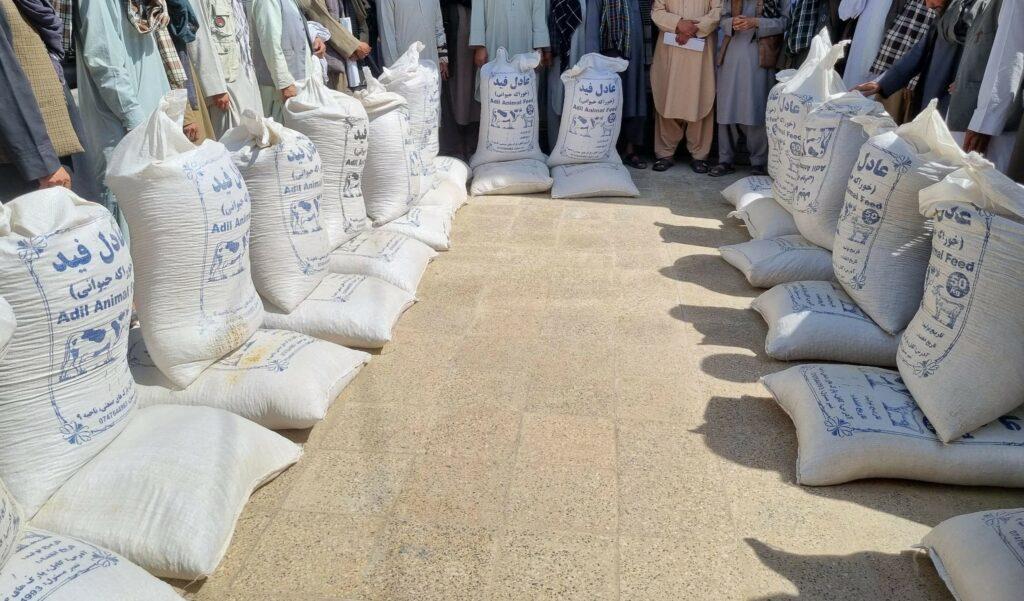 بادغیس کې مالدارانو ته د څارویو ۳،۵ مټریک ټنه خوراکي توکي ووېشل شول