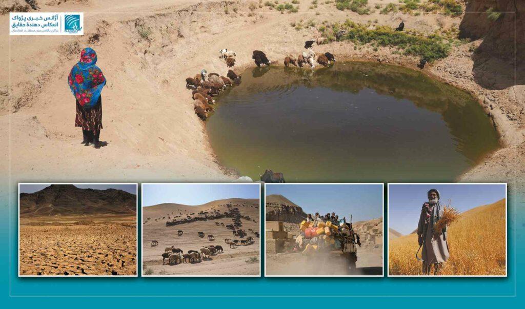 تغییرات اقلیمی و خشکسالی؛ تهدید جدی برای سکتور زراعت افغانستان و نگرانی‌های دهاقین