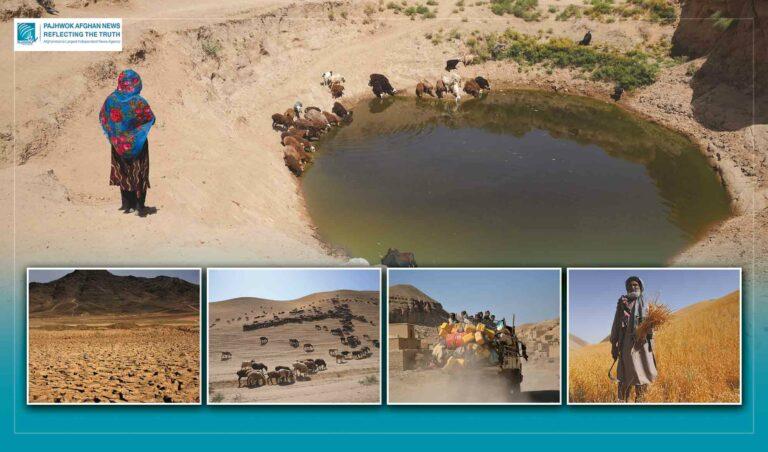 Climate change, drought: A serious threat to Afghan agri sector, raising farmers’ concerns