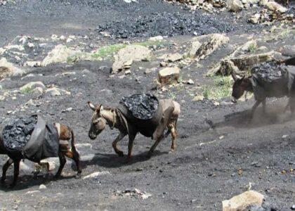 فروریختن یک معدن زغال‌سنگ در سمنگان جان یک تن را گرفت و یک زخمی برجا گذاشت