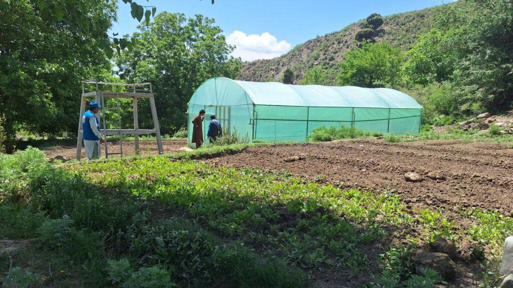 سازمان غذا و زراعت: بیش از دو هزار گلخانه در افغانستان ساخته‌ایم