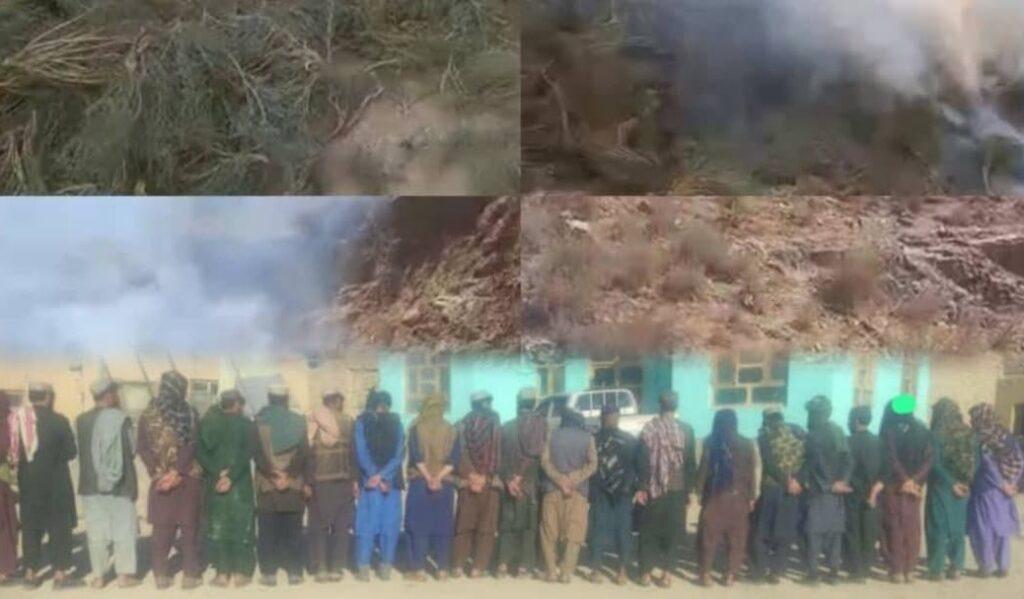 غور کې د ۱۰ زره کیلوګرامه اومان راټولولو په تور ۲۵ کسان نیول شوي