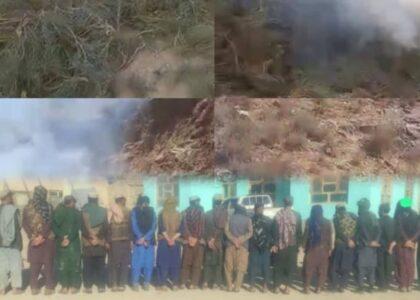 ۲۵ تن به اتهام جمع‌آوری ۱۰ هزار کیلوگرام «یامه» در غور بازداشت شدند