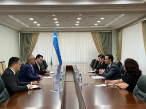 Uzbek, Turkish officials discuss Afghanistan, cooperation