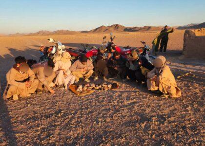 هشت تن به اتهام شکار پرندگان کمیاب در هرات بازداشت شدند