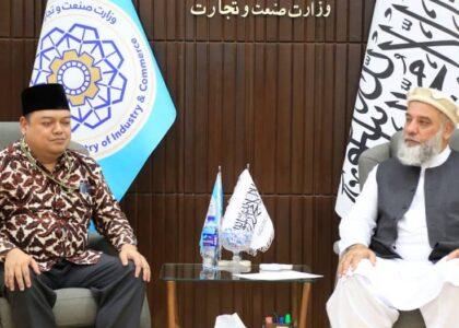 سرپرست وزارت تجارت با سفیر اندونیزیا در مورد ایجاد، توسعه و تحکیم روابط تجاری گفتگو کرد