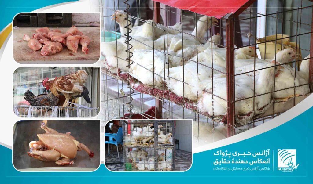 برخی پایتخت‌نشینان از افزایش قیمت گوشت مرغ شکایت دارند