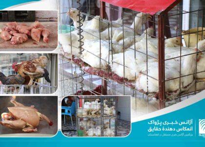 برخی پایتخت‌نشینان از افزایش قیمت گوشت مرغ شکایت دارند