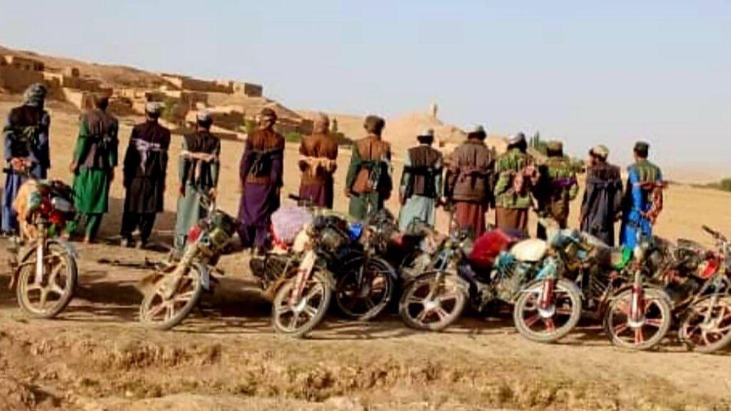 غور کې د «ومان» راټولولو او پلور په تړاو ۱۹ کسان نیول شوي