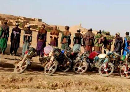 19 detained over collecting, selling yama plant in Ghor