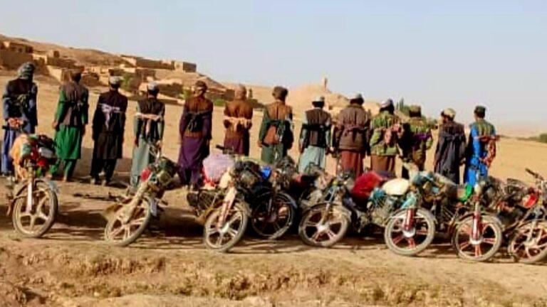 غور کې د «ومان» راټولولو او پلور په تړاو ۱۹ کسان نیول شوي