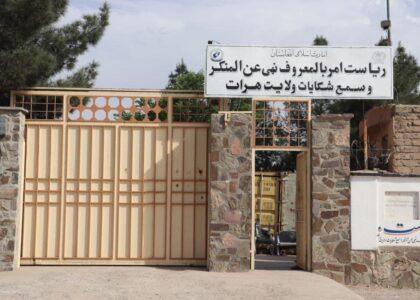 11-year-old girl’s forced marriage prevented in Herat
