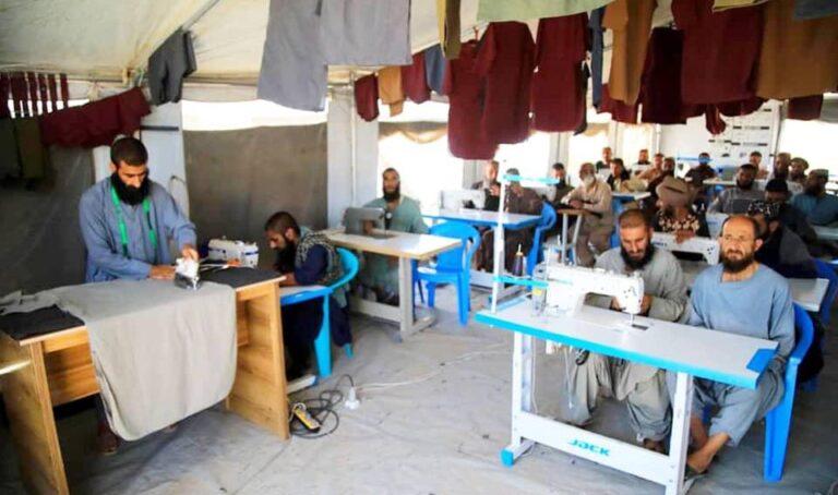 هرات کې تر درملنې لاندې ۵۰۰ روږدو ته د حرفوي زده‌کړو زمینه برابره شوه