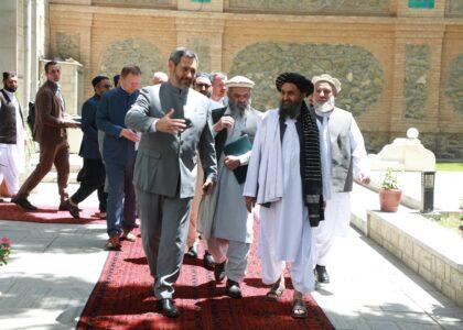 ملا برادر د تاتارستان د لومړي وزیر له مرستیال سره پر اقتصادي همکاریو خبرې کړې