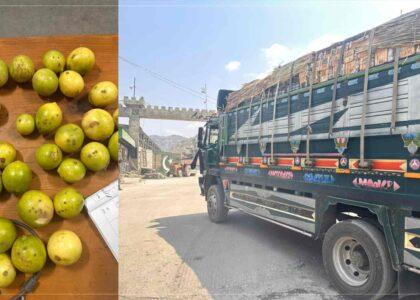 ۱۵ تُن لیموی بی‌کیفیت به پاکستان بازگردانده شد