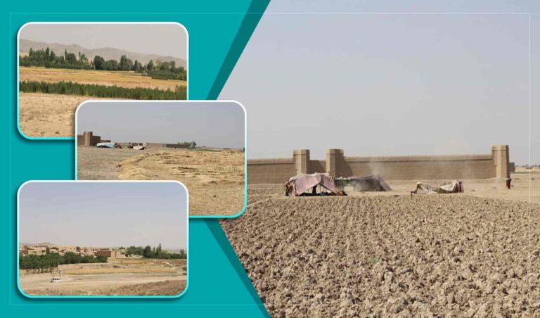 Jaghatu farmers struggle amid drought, water crisis