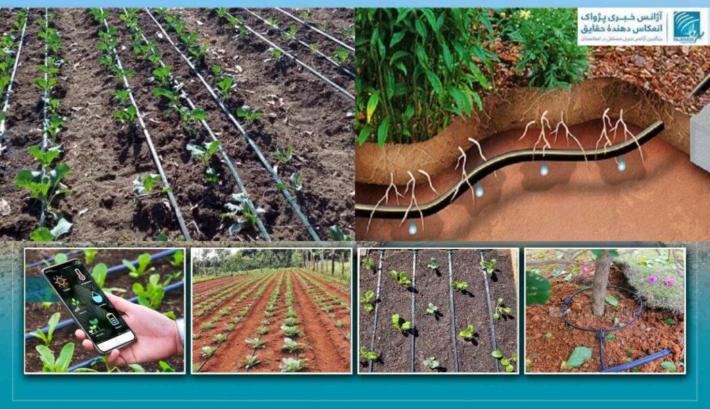 سیستم آبیاری قطره‌ای؛ روشی مؤثر برای آبیاری زمین‌های بیشتر با آب کمتر