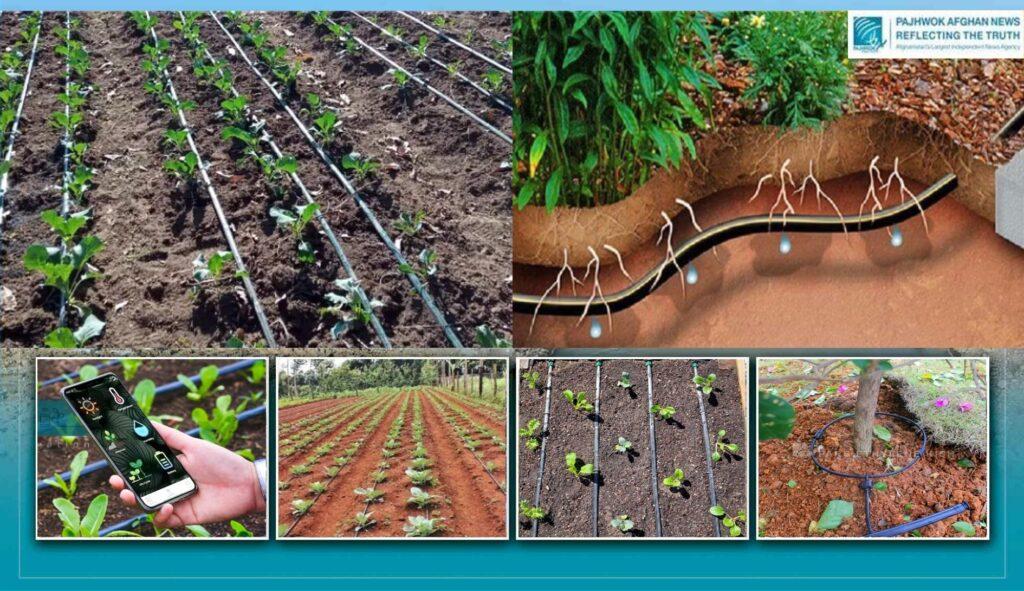 Drip Irrigation: An efficient way to water large areas with less water