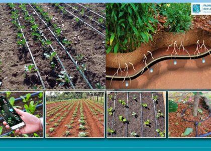 Drip Irrigation: An efficient way to water large areas with less water