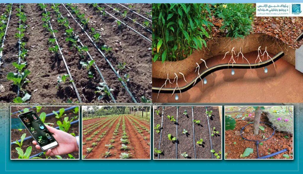 د څاڅکي اوبولګولو سیسټم؛ په لږو اوبو د ډېرو ځمکو خړوبولو اغېزناکه لار