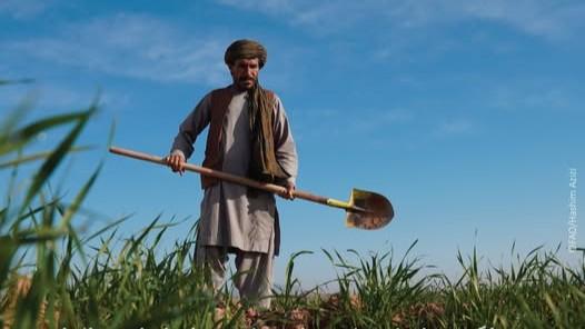 افغانستان کې بشري اړتیاوو ته د رسېدنې په موخه د انګليستان په مالي ملاتړ نوې پروژې پلې کېږي